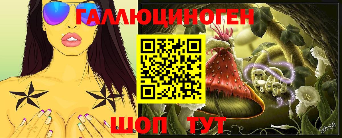 Псилоцибиновые грибы Psilocybine cubensis  Вход с VPN  Псилоцибиновые грибы прущие грибы  Каменск-Шахтинский 