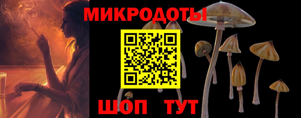 Псилоцибиновые грибы MAGIC MUSHROOMS Каменск-Шахтинский